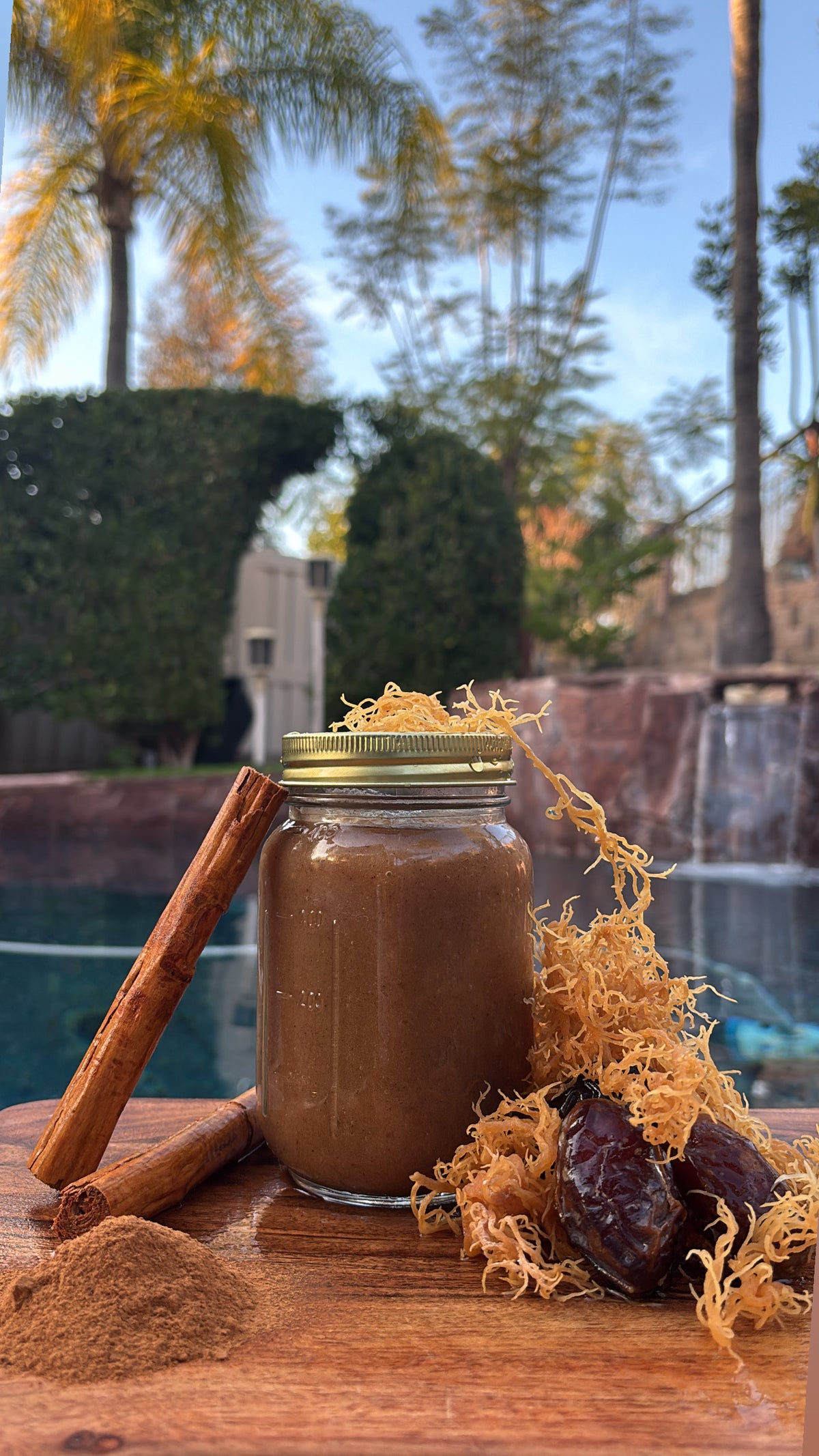 Cinnamon & Date - Seamoss